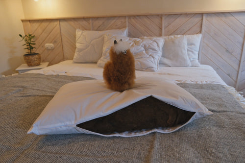 Alpaca Wool Pillow